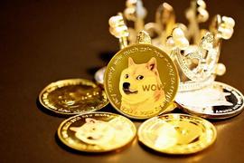 狗狗币投资者在退出之前必须考虑这些迹象_DOG:GETDOGE
