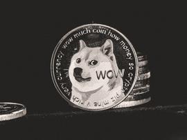 狗狗币持有者的卡上有0.1美元吗？答案可能会让您大吃一惊_DOG:SHIB