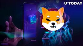 向社区展示新元界中心时，SHIB 燃烧率提高了近 408%_SURE:NFT