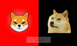 柴犬价格形成杯子和手柄模式，这是什么意思？_SHIB:SHI