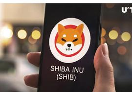 Shiba Inu进入僵局，这可能会结束_SHI:AIN