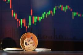 为什么尽管出现回调，但狗狗币没有理由期待反弹很快结束_DOGE:马斯克和狗狗币
