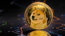 狗狗币价格预测–马斯克Twitter交易接近关闭，DOGE将爆炸10倍？_比特币:加密货币指什么