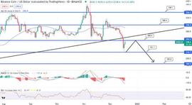 BNB 价格预测 – 上涨 4% 至 247 美元，这种复苏能否持续？_BNB:KlayFi Finance