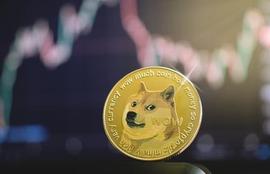 一天之内狗狗币的市值就剩下 10 亿美元；DOGE 的下一步是什么？_狗狗币:狗狗币最新动态