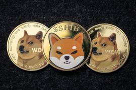 2023 年 1 月最值得关注的 5 个模因硬币_LOKI:FLO