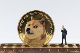 马斯克放弃比特币-Doge会是下一个吗？_EFI:DAI