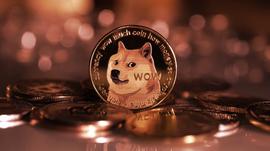 Dogecoin抛售了埃隆·马斯克的Twitter股票，下跌了9%_COIN:Mommy Doge Coin