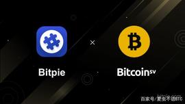 比特派BSV使用教程_以太坊:比特币