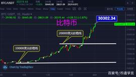 比特币突破30000美元，十年间涨幅高达1200万倍_比特币:比特币占有率查询
