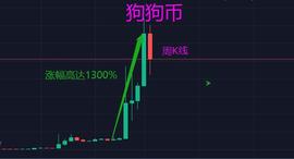 狗狗币、SHIB之前那些几天内拉升十几倍的币种，后来都怎么样了？_ONS:LOL