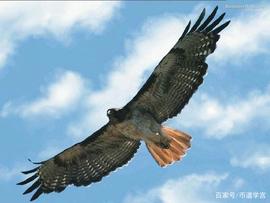 真6了，赚了指数赔了q教育的失败？_SAND:SHIB