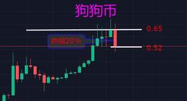 狗狗币庄家终于对散户出手了吗？_BTC:Block Galaxy Network