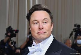 本周，加密货币粉丝如何向 Elon Musk 致敬？_马斯克:加密货币市场分析图