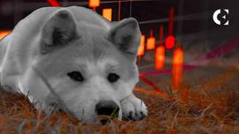 为什么 2023 年可能会改变柴犬（SHIB）的游戏规则_SHI:CEB