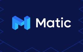 MATIC 过去 3 个月上涨 170%，Polygon 已通过 20 亿次终生交易_STO:PolyFLOKI