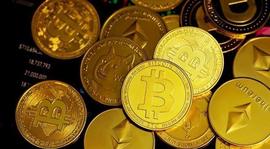 机构投资者押注 $BTC 和 $SOL，同时在合并后远离 $ETH_FTX:BLOCK