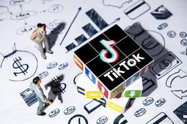 TikTok营销新手必看：如何用有限预算做出高效广告_TIK:TIK