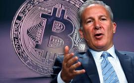 「黄金VS 比特币」世纪大辩论 Peter Schiff 不吵赢、不罢休_比特币:SCH