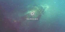 即将到来Vasil硬分叉、鲸鱼们已经把ADA看到1美元了？_ADA:Mini Cardano