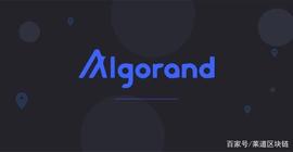 Algo币借荷兰拍，上线暴涨60倍，接下来呢？_NEX:BIT