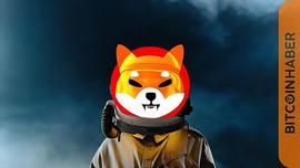 Shiba Inu (SHIB) 绘制上升势头，可能的触发因素_SHIB:STARP