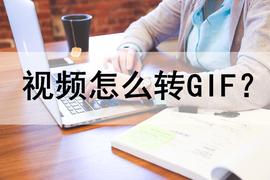 视频怎么转GIF?分享两个实用的工具_DEFI:VID价格