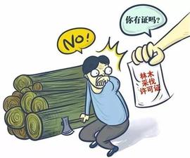 林木采伐专业术语_TOKEN:UTT
