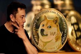 马斯克宣布新任首席执行官推高狗狗币、Floki Inu 和柴犬的价格_MAS:LOKI