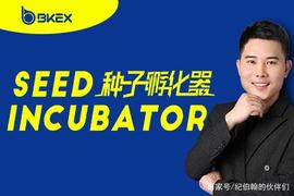 币客BKEX今晚上线Seed Incubator首个项目DataOK（DTO）!_KEX:BKKG