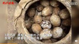 如果你想在死后变成化石，我们或许能给你出个主意_AMP:https://etherscan.io