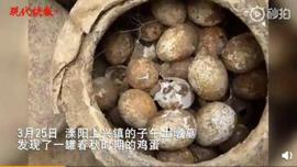 春秋时期的鸡蛋出土，它是如何保存2500年的？_比特币:比特币市值跌破5000亿美元会怎样