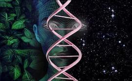 热力学如何解释进化论：最大化熵产生原理驱动下的自然选择_UMA:Thunder Lands