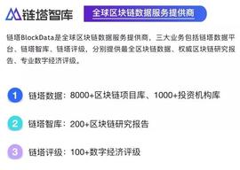 The Voice of Blockchain ｜ 从存续思考公链社区参治—链上之城_比特币:区块链适合什么人做