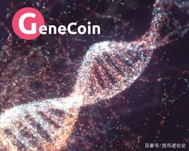 生命与货币的起源——与作弊者的斗争_比特币:怎么查询自己名下有没有比特币