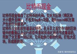 什么是比特币现金？比特币现金与比特币有何区别？_比特币:数字货币