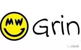 比特币创始人中本聪多年后以Grin的形象出现？_DAS:RIN