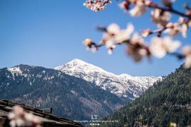 印度的旅游胜地默纳利，人牛共居温泉免费，男人还穿白色羊毛短裙_MOMO:MomoCash
