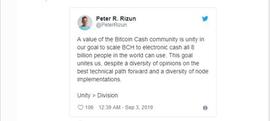 Peter R. Rizun：“比特币现金社区的目标是全球80亿人使用BCH”_比特币:中国交易数字货币违法吗
