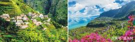 什么是马德拉（Madeira），为什么有“不死之酒”的称号_BIT:TTR