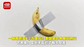 一根价值85万人民币的香蕉，烂掉后自己换_BEA:TTE