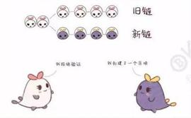 「牛牛说币」聊聊比特币的那些叔伯兄弟——分叉币_比特币:BITC