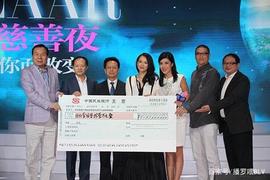 网红都能捐款1.5亿，黄晓明20万被骂又捐80万，被误会！_比特币:金字塔