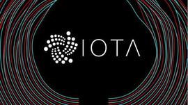 IOTA加密货币在钱包漏洞被利用后关闭整个网络_比特币:arkm币未来价值
