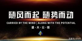 盛大公链STD关键特性_STD:丘比特币是什么平台