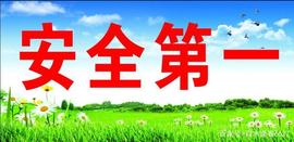 安全是生命的根本保障_比特币:Tap