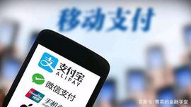 用什么交易：一路走来的货币支付体系_数字货币:VERS