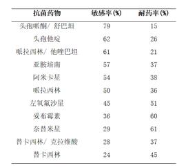 医院的这种病原菌，因为人变得强大，我们还在找消灭它的办法_GIN:cudos币怎么样
