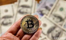 当初稀里糊涂买了20000枚比特币的人，现在怎样了？_比特币:TIMESERIES价格