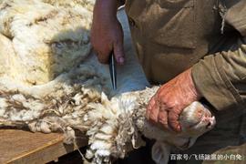 谁说Defi谢幕？UNI上万空投沸腾币圈,你领到了吗？_中心化交易所:去中心化交易所开发者怎么盈利